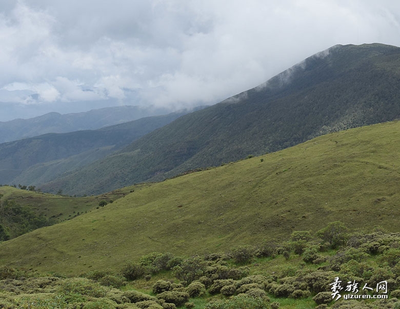 1725609995868651.jpg DSC_4201.jpg