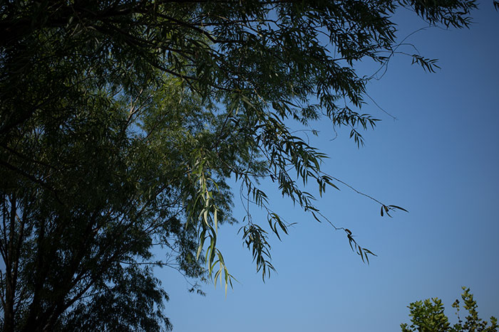 1726632113998442.jpg R0011548.jpg