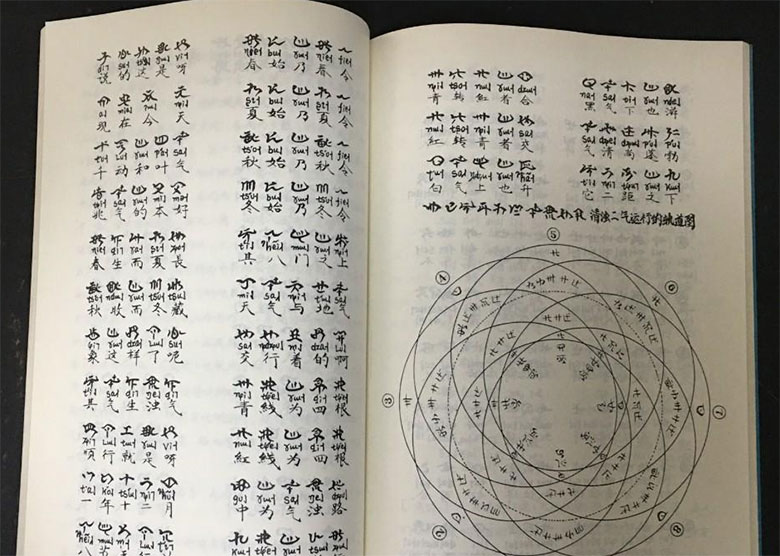 1729068808527486.jpg fig5.jpg