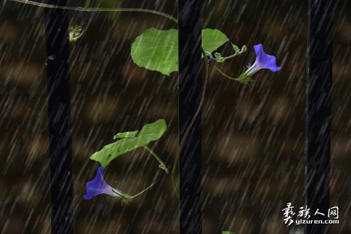 1730424804435709.jpg DSC_7968.jpg