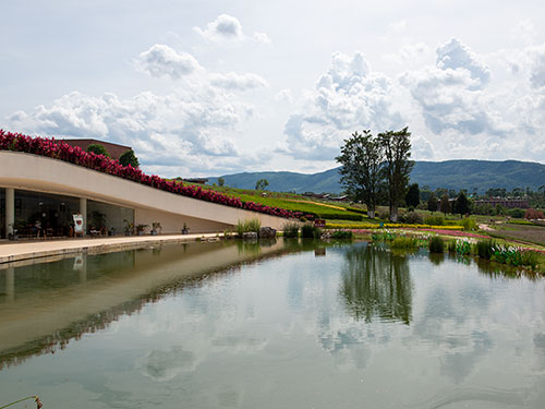 当代云南彝族文学发展之浅见