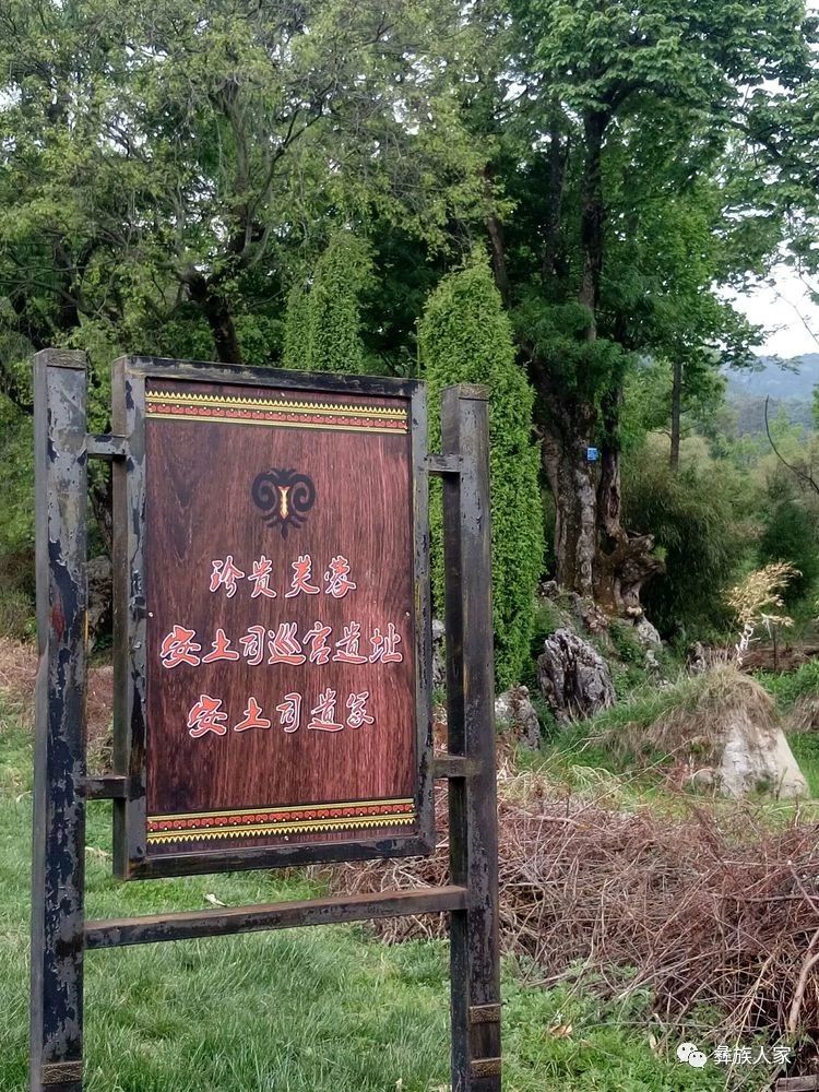 1734501452491792.jpeg DM_20241218135414_004.JPEG