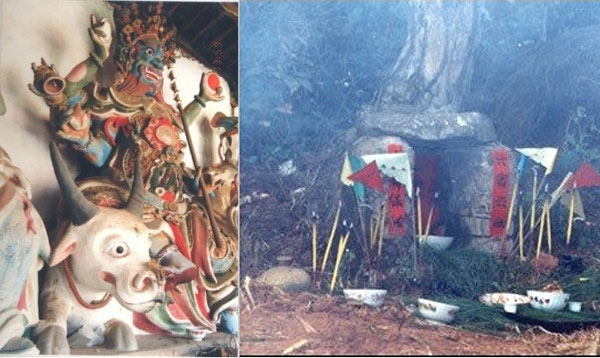 1734707457162332.jpg js3.jpg