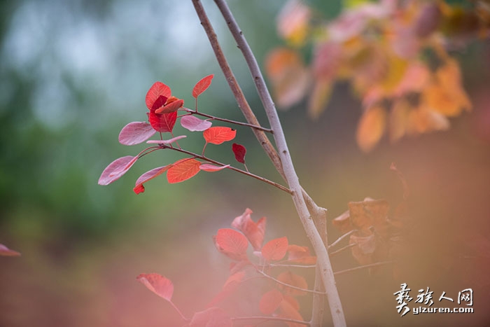 1735298909499481.jpg DSC_9648.jpg