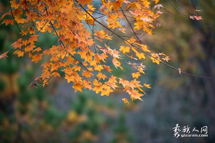 1735298930585005.jpg DSC_9687.jpg