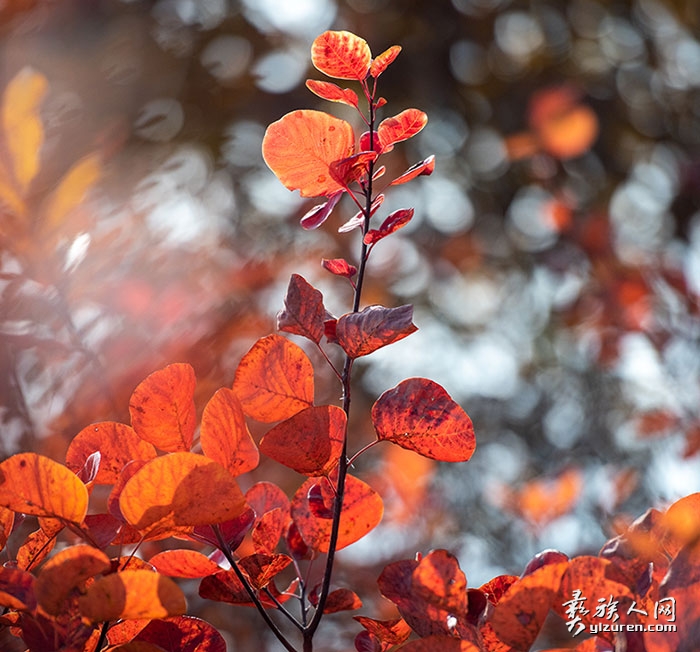 1735298940795363.jpg DSC_9982.jpg