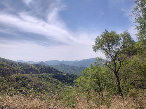 杨正毅:借钱(小小说)