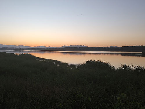 管鹏:其实孤独也是一种美