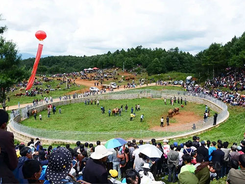 从转龙镇的地名看彝、汉民族文化