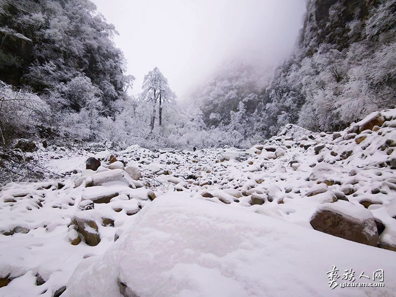 1735829687198522.jpg psc-(6).jpg