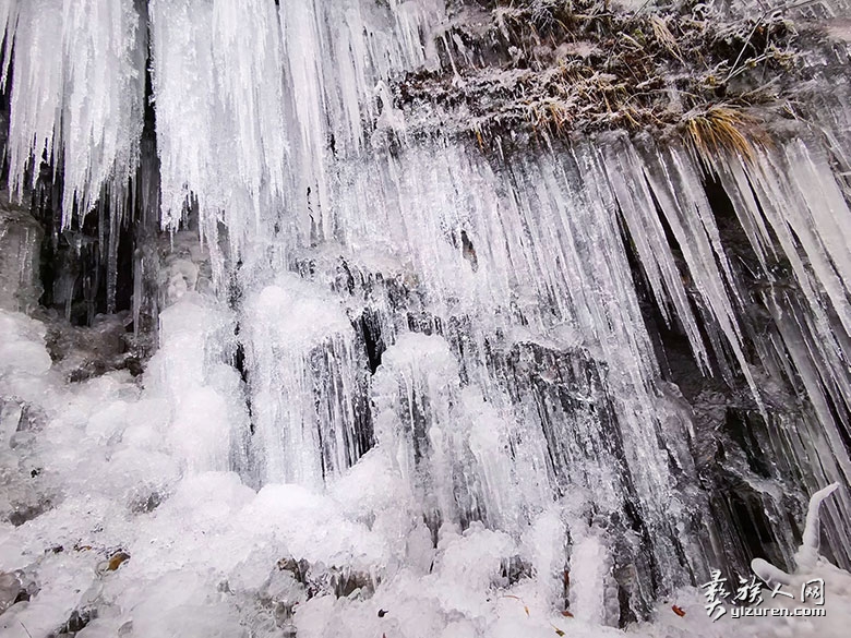 1735829786438314.jpg psc-(14).jpg