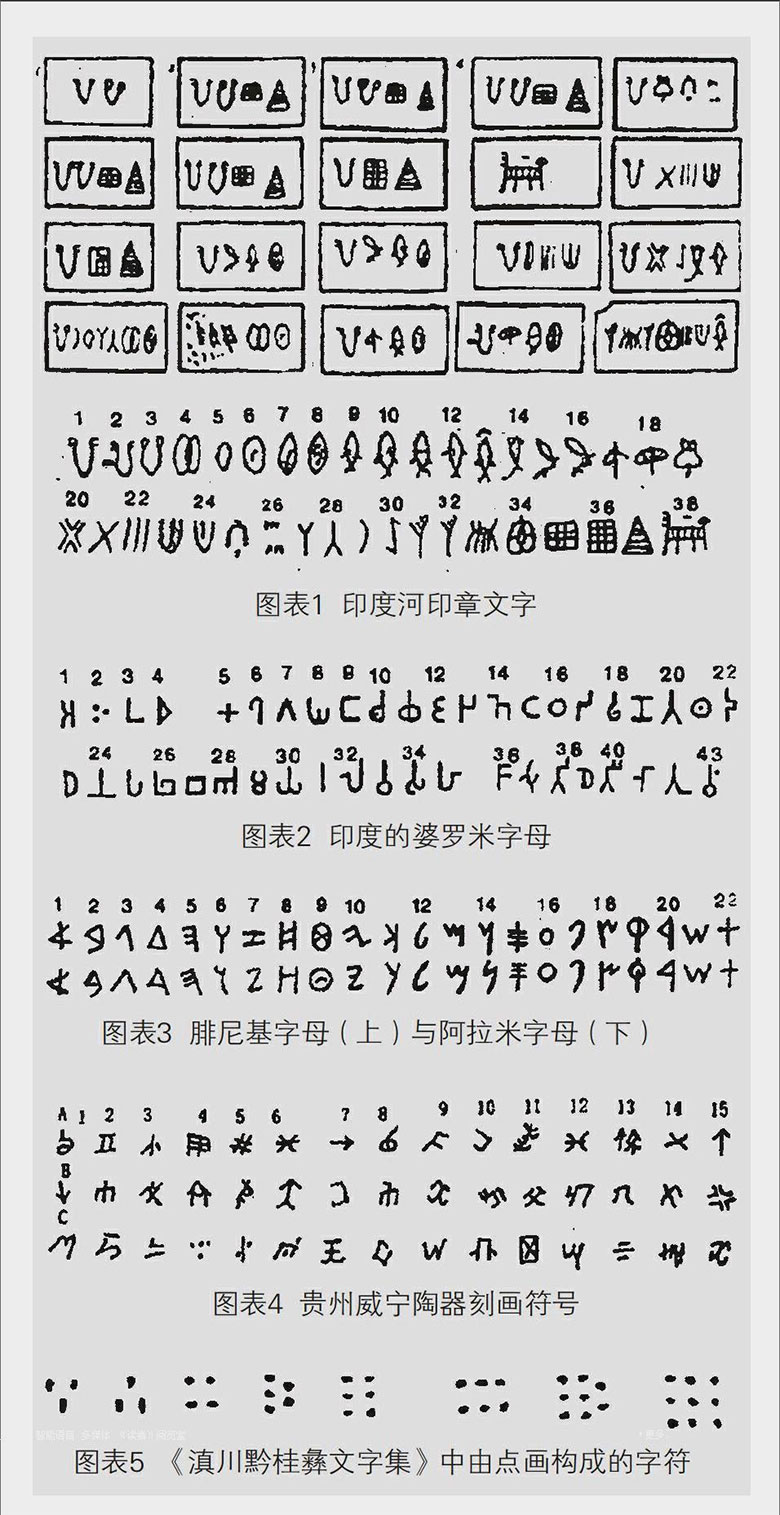 1735994850826452.jpg ddd1.jpg