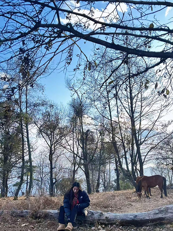 1736168529207688.jpg xport1731408895318.jpg