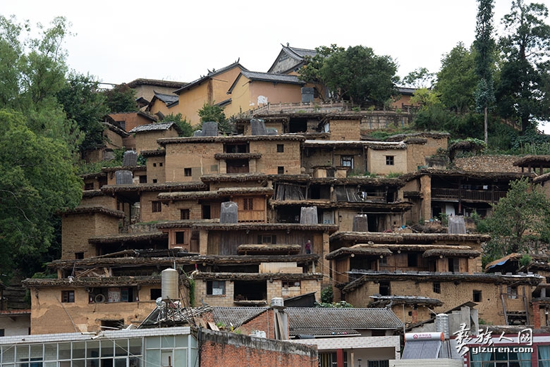 1737268307961265.jpg DSC_5222.jpg