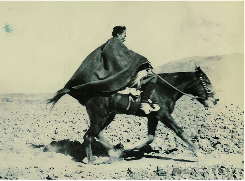 1737364465300482.jpg DM_20250120165419_006.jpg