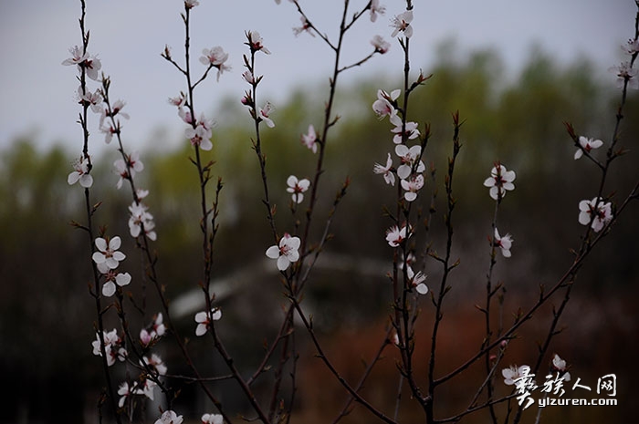 1737892771297332.jpg ct.jpg