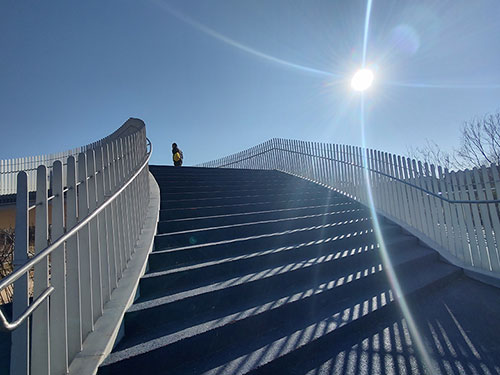 杨正毅|手机(小小说)