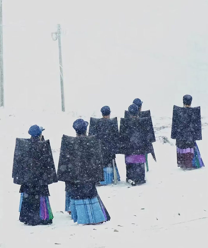 1738593901970818.jpg t1738578901532_edit_148993854213370.jpg