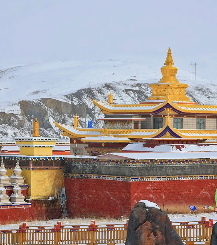 1738593930114057.jpg 85738823511040g2sg31c64a4ee0k8g5oe1.jpg