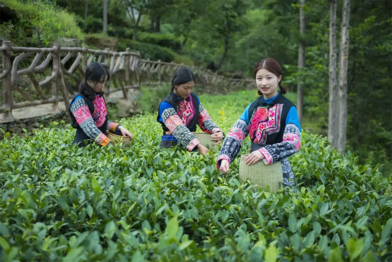 1739020358426407.jpg rbc5.jpg