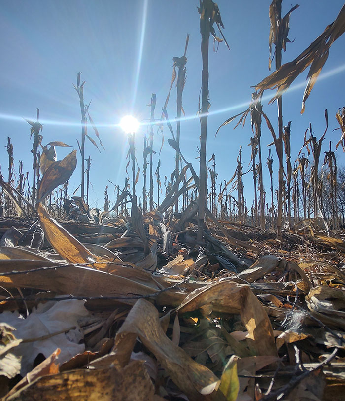 1739346889982938.jpg 202412220958192.jpg