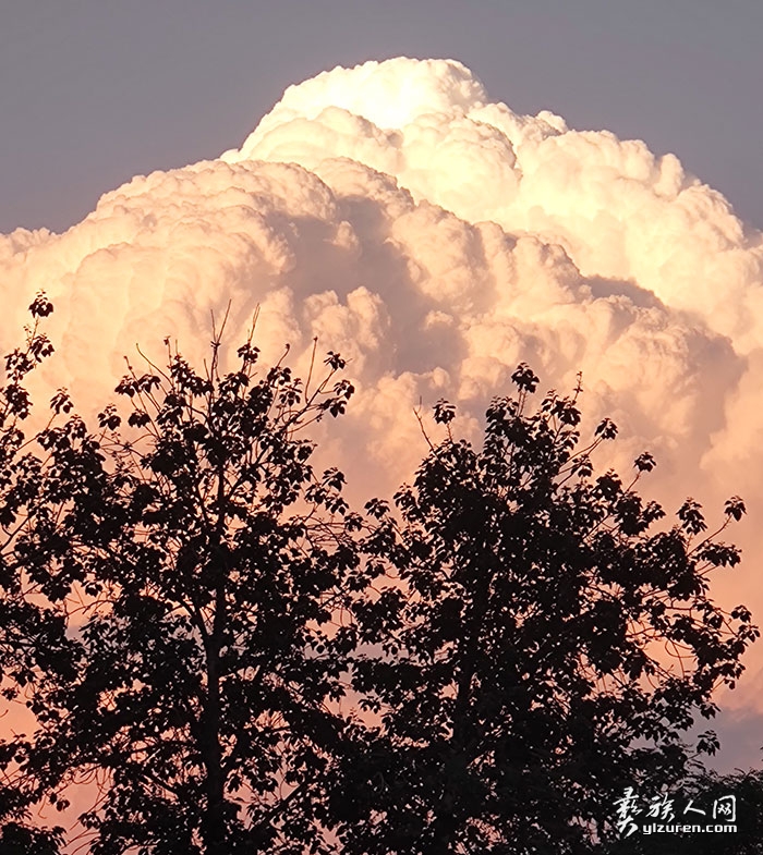 1740054228915400.jpg 20221110230133.jpg