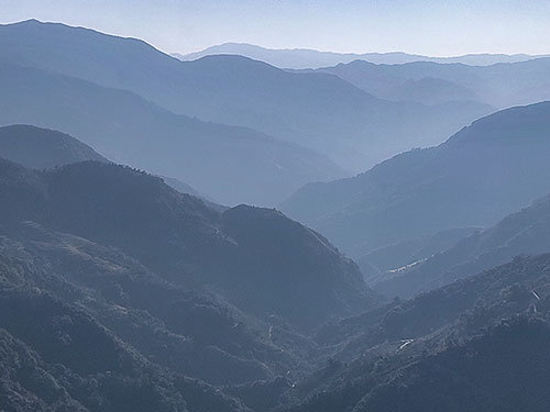 阿兰:雾里的山鹰(外一首)