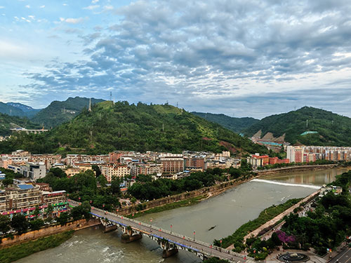 加斯双叶:阳光灿烂的日子