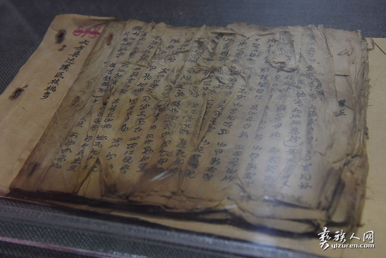 1741009842238441.jpg DSC_9488.jpg