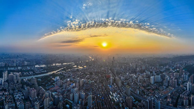 1741332662293631.jpg ppimage001.jpg