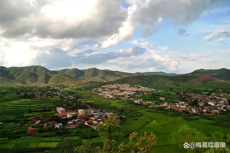 1741744836438294.jpg w19.jpg