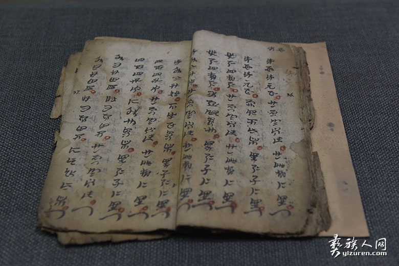 1742031854623888.jpg dDSC_9512.jpg