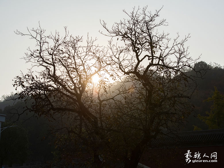 1742390099810603.jpg DSC_0034.jpg