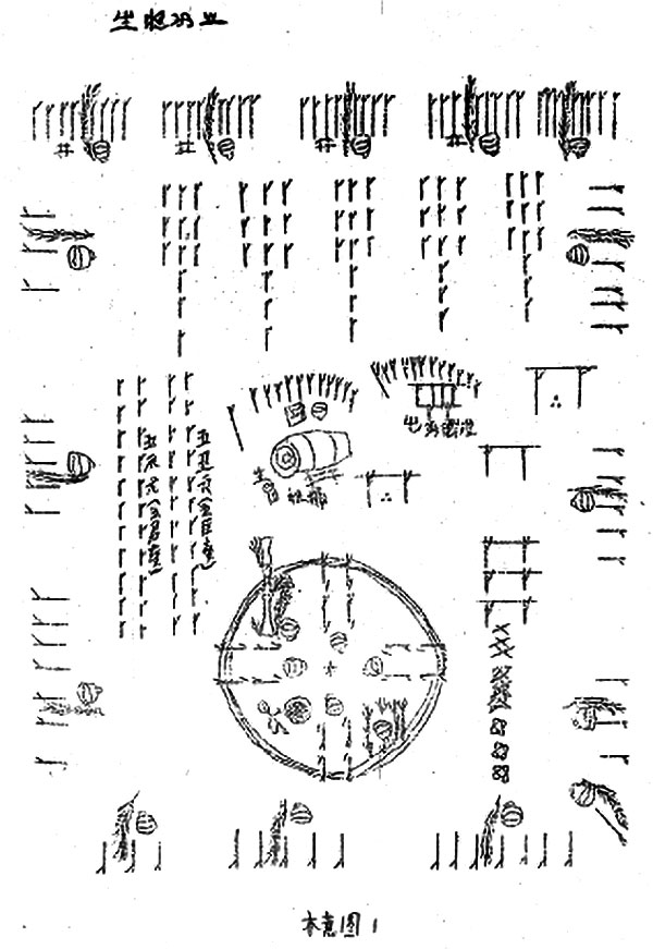 1742865655761381.jpg p1.jpg