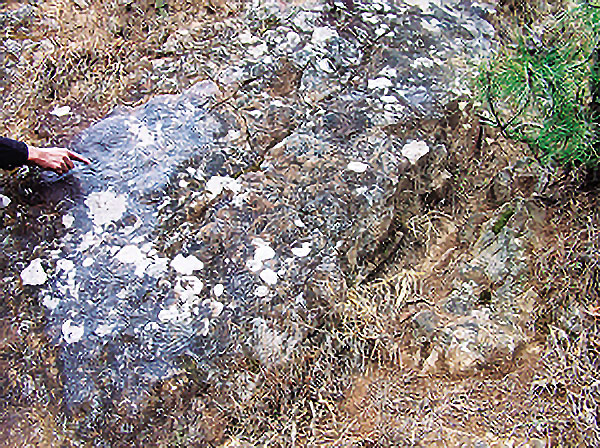 1743164748877027.jpg 2e2ef6d7bcd74cc122dcce50b591d295.jpg