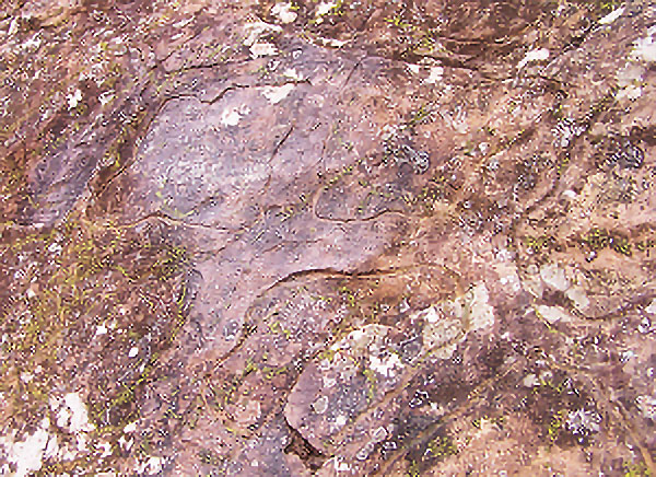 1743164800546826.jpg b4f3bdee1aa855ad0ce284bb361a9ba4.jpg