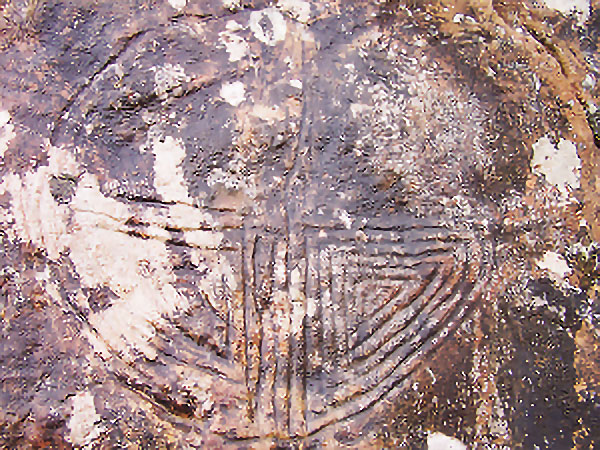 1743164854254860.jpg 2cfa6edb1c86764f2bc0c941611f7f05.jpg