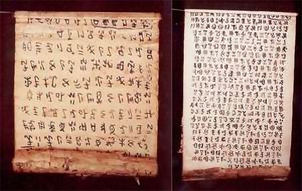 1743165240663140.jpg fig1.jpg