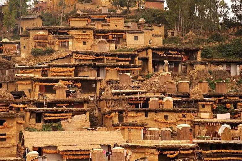 1750696253508278.jpg aa1.jpg