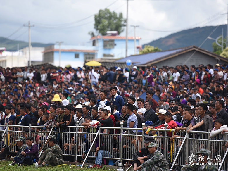 1751725644246121.jpg DSC_3701.jpg