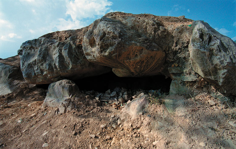 1751854998980046.jpg DM_20250707101605_004.jpg