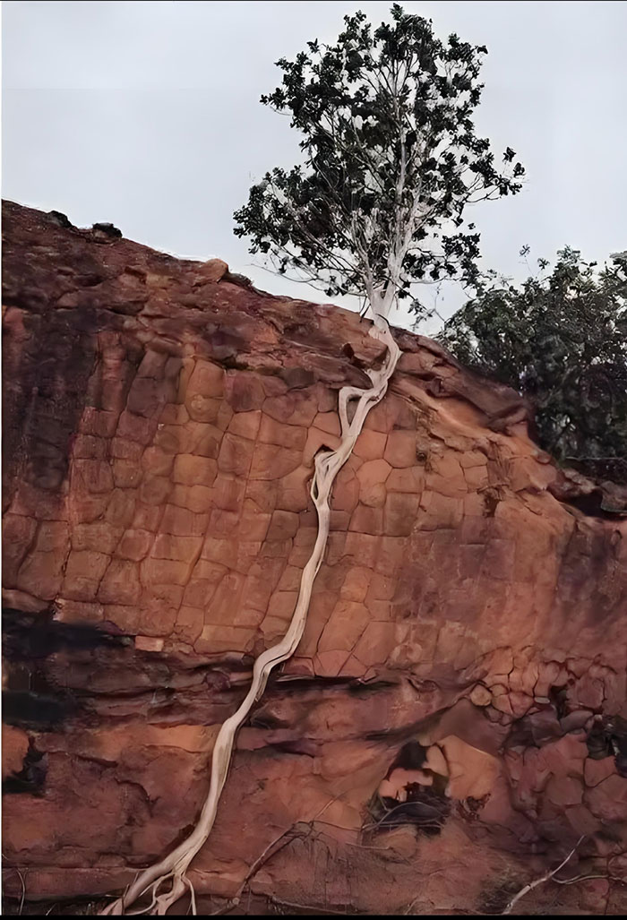 1753839673380280.jpg 55741c4f2.jpg