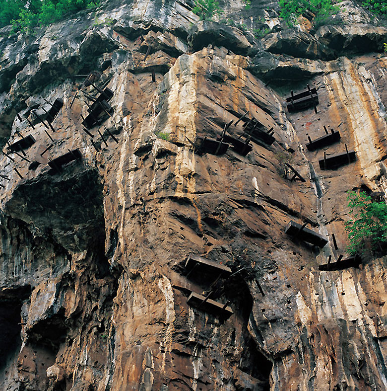 1754663088633496.jpg 01.jpg