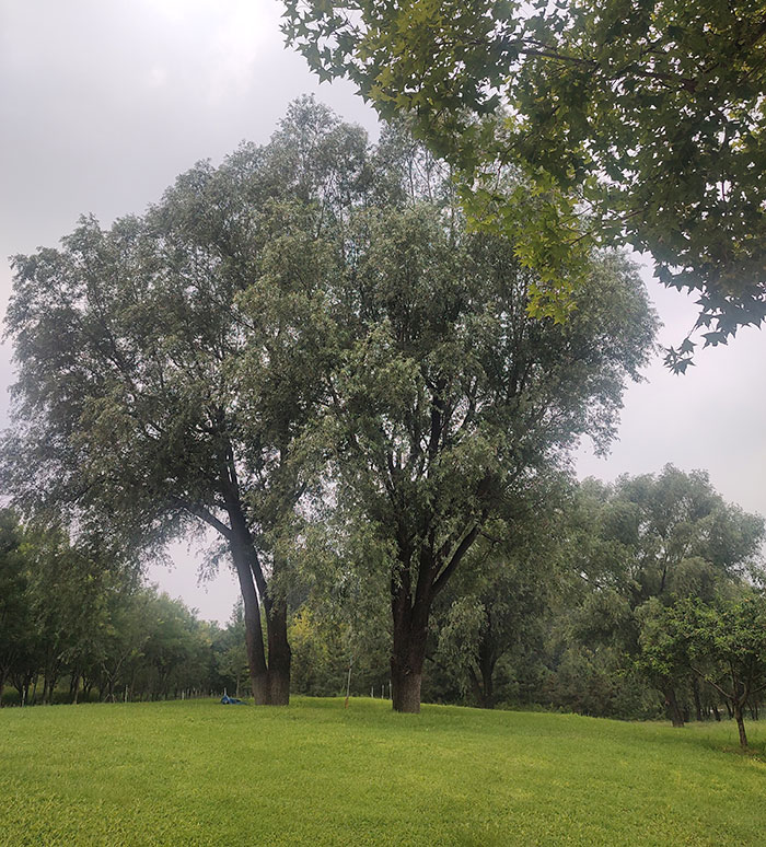 1755246538288994.jpg 20250803095553.jpg