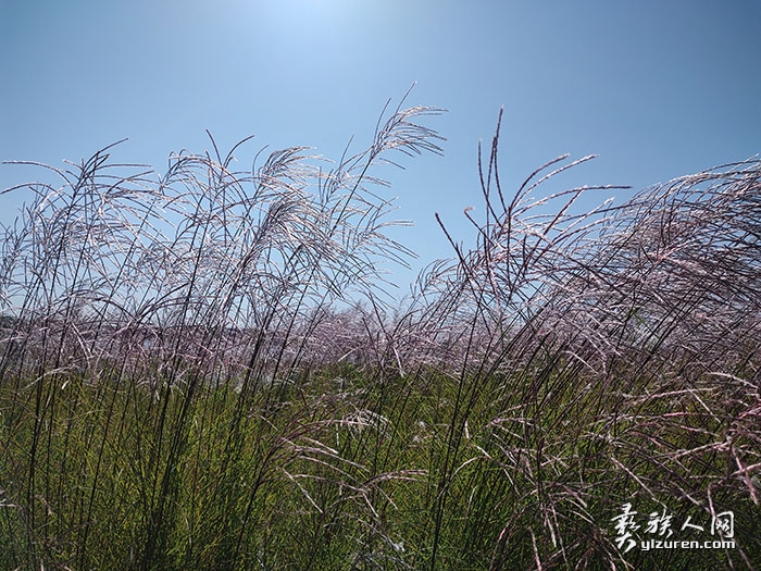 1755647724983105.jpg 20241202121451.jpg