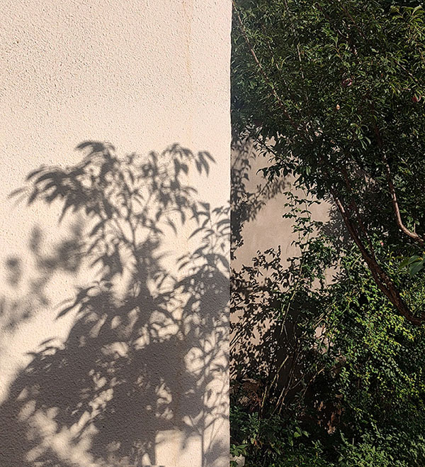 1755788401229244.jpg 20250724223318.jpg