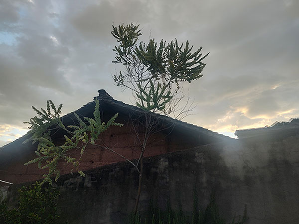 1755788426731722.jpg 20250724223046.jpg