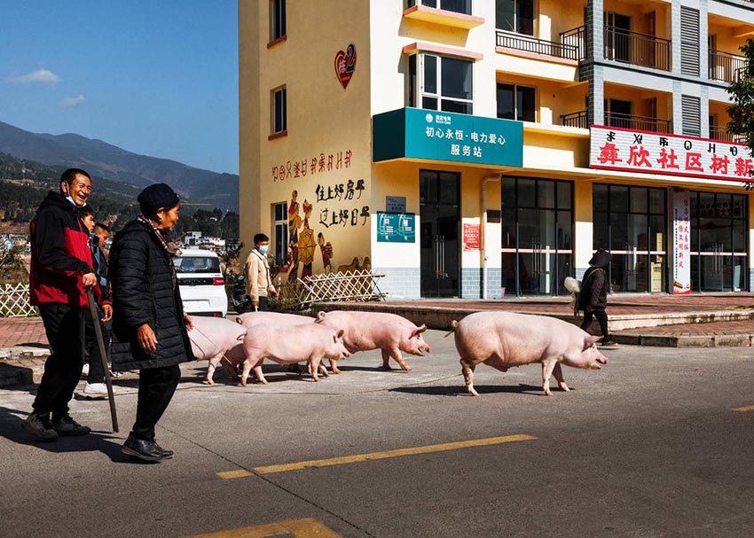 1755863041640889.jpg DM_20250822191857_004.jpg