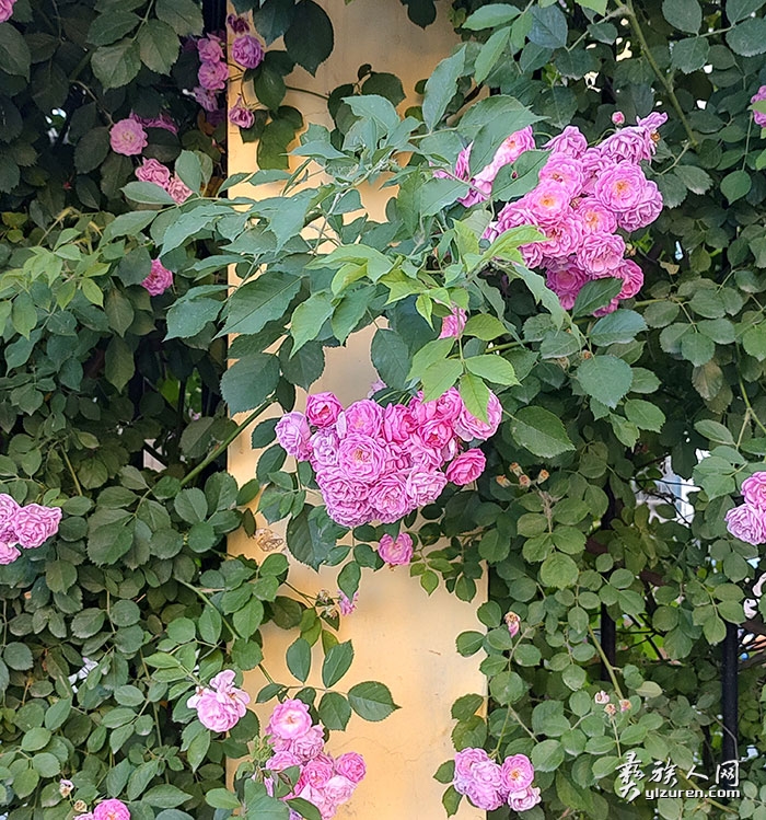 1756207595625550.jpg 202412021208491.jpg