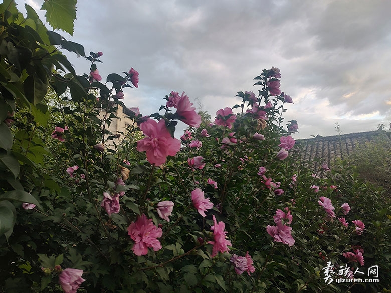 1756261514127441.jpg 20250724223049.jpg